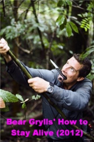 Poster - Bear Grylls How to Stay Alive (2012) 