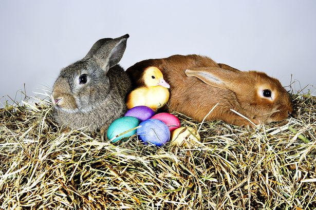 Image result for easter