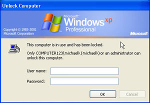 Standard Windows XP computer lock