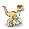 Raptor