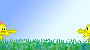 Running In Field