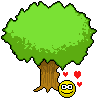 Carve A Tree