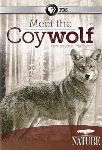 Poster - Meet the Coywolf (2014) 