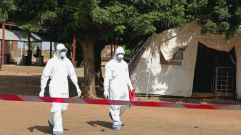 Slika 1 - Ebola exposed (2014) 