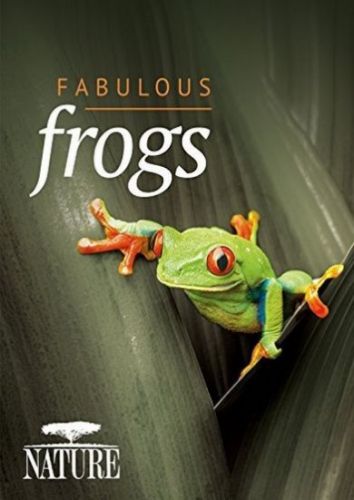 Poster - Nature: Fabulous Frogs (2014)