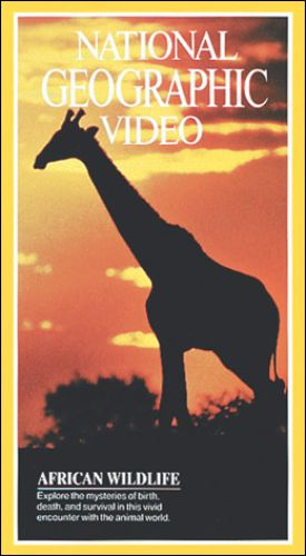 Poster - National Geographic African Wildlife