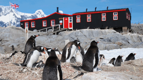 Slika 1 - Penguin Post Office (2014) 