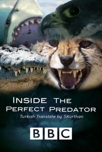 Poster - Inside the Perfect Predator (2010) 