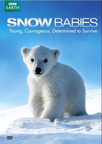 Poster - Snow Babies (2012) 