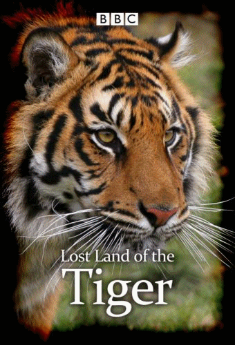 Poster - Lost Land of the Tiger (2010) 