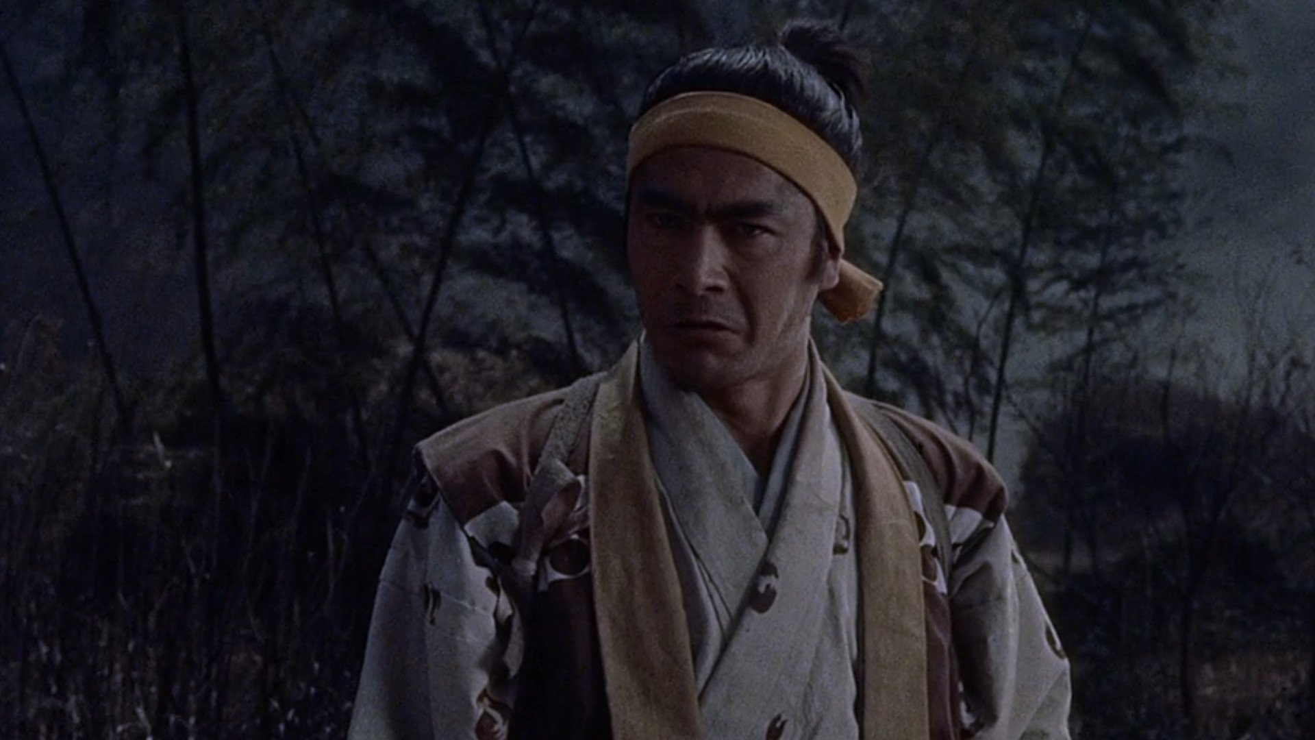 Fida puti samurai. Миямото Мусаси Тосиро Мифунэ.