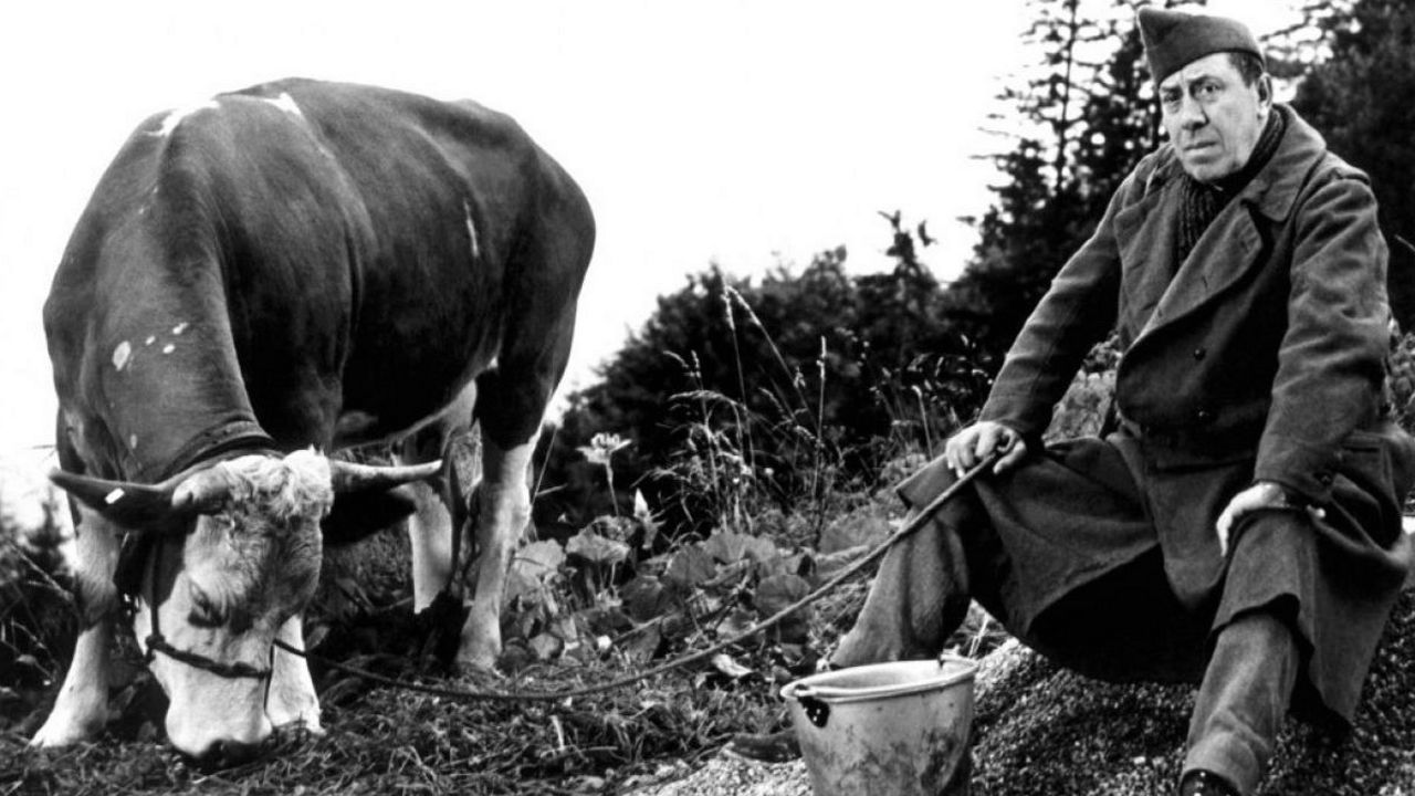 La vache et le prisonnier