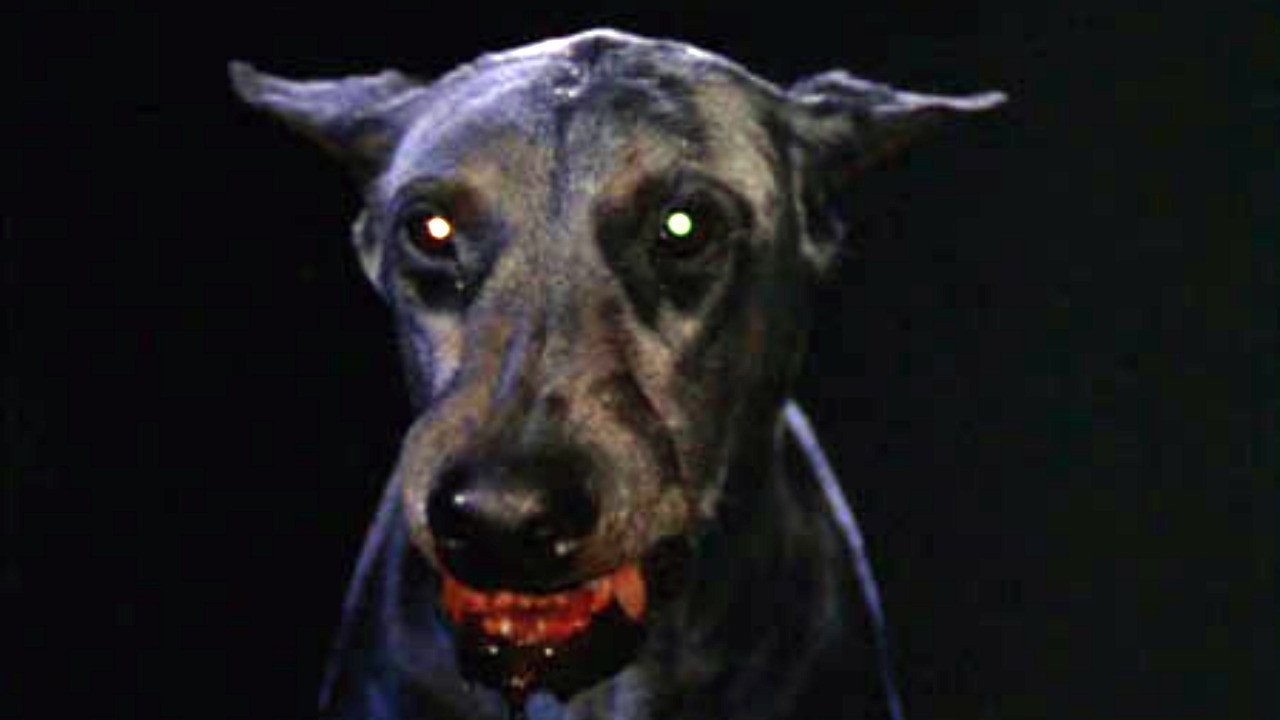 Dracula's Dog