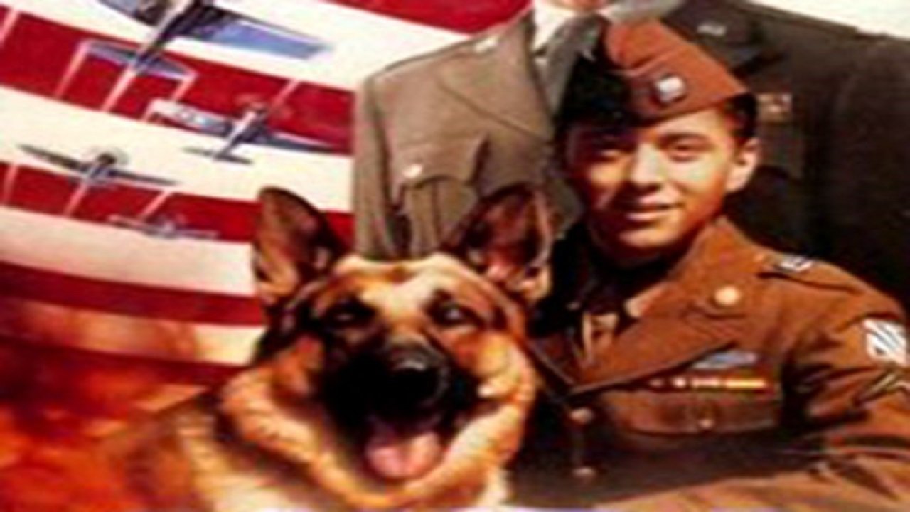 Chips, the War Dog