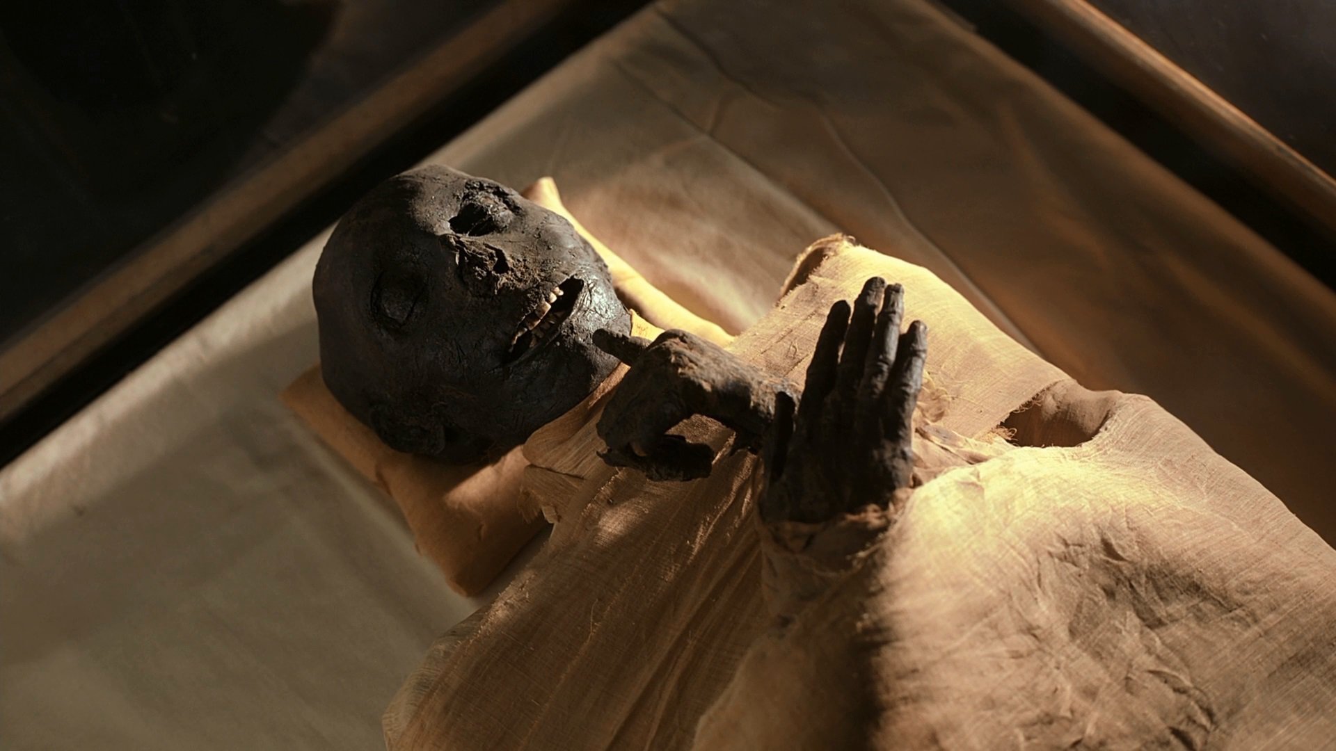 Mummies: Secrets of the Pharaohs