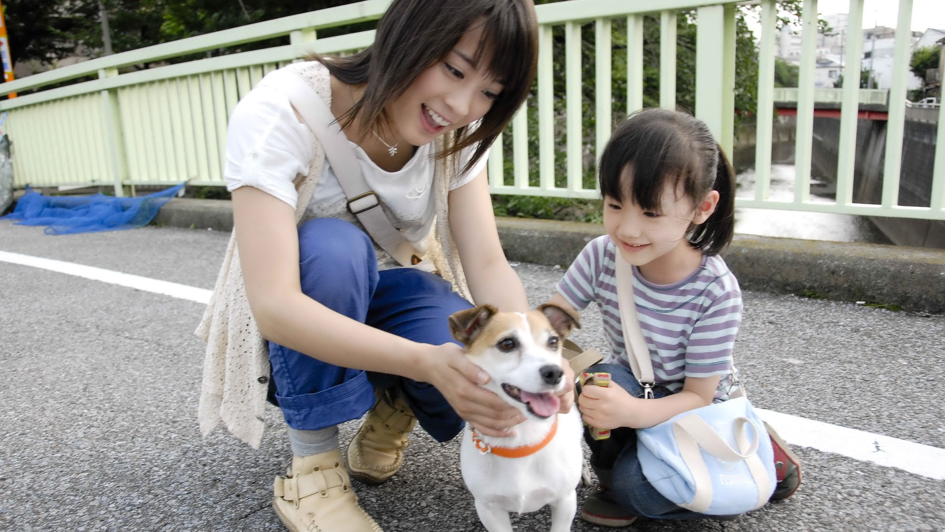 Inu to anata no monogatari: Inu no eiga