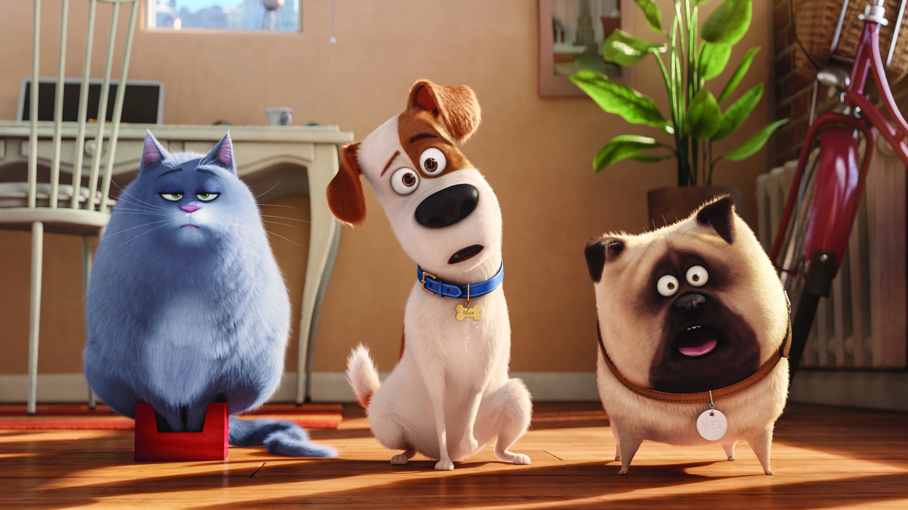 The Secret Life of Pets download the new