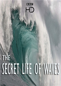 The Secret Life of Waves