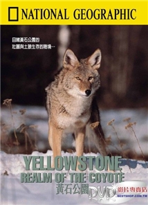 Yellowstone: Realm of the Coyote