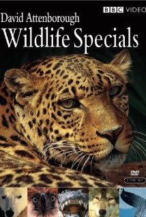 Wildlife Specials