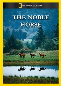 The Noble Horse