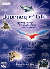 Journey of Life