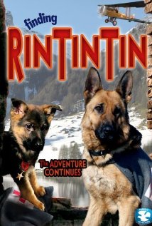 Finding Rin Tin Tin