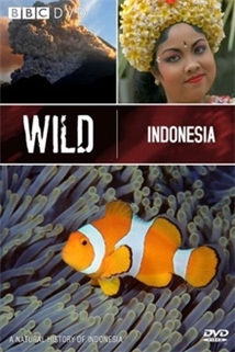 Wild Indonesia