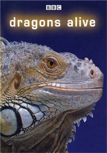 Dragons Alive