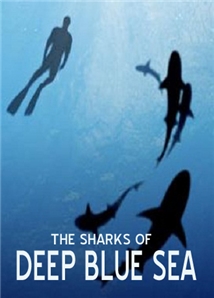 The Sharks of the Deep Blue Sea