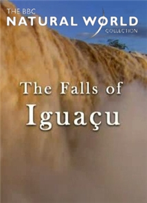 The Falls of Iguaçu