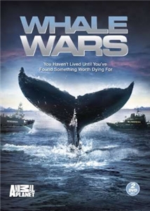 Whale Wars