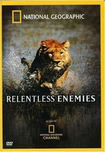 Relentless Enemies