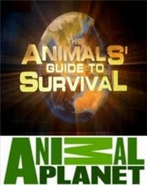 The Animals' Guide to Survival