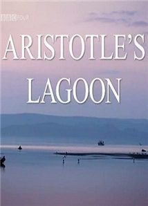 Aristotle's Lagoon