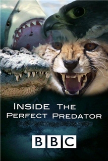 Inside the Perfect Predator