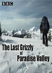 The Last Grizzly of Paradise Valley