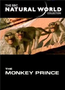 The Monkey Prince