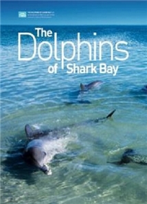 The Dolphins of Shark Bay