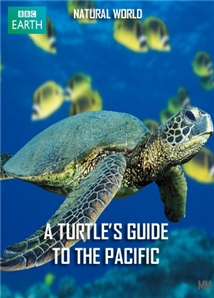 A Turtle's Guide to the Pacific