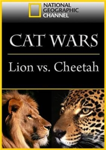 Cat Wars: Lion Vs. Cheetah