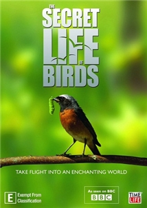 The Secret Life of Birds
