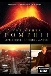 The Other Pompeii: Life & Death in Herculaneum