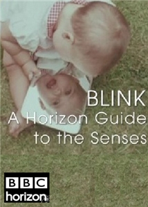 Blink: A Horizon Guide to the Senses