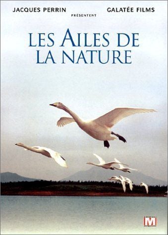 Les ailes de la nature