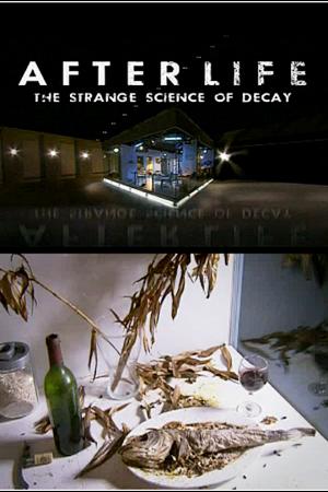 After Life: The Strange Science of Decay