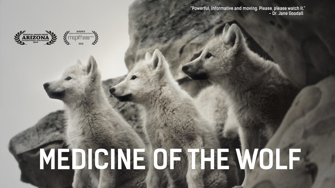 Medicine of the Wolf