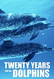 Twenty Years with the Dolphins