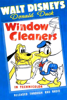 Window Cleaners