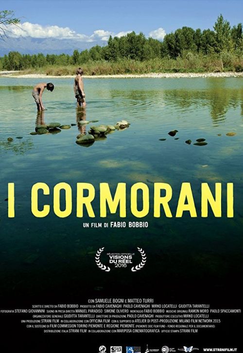 I cormorani